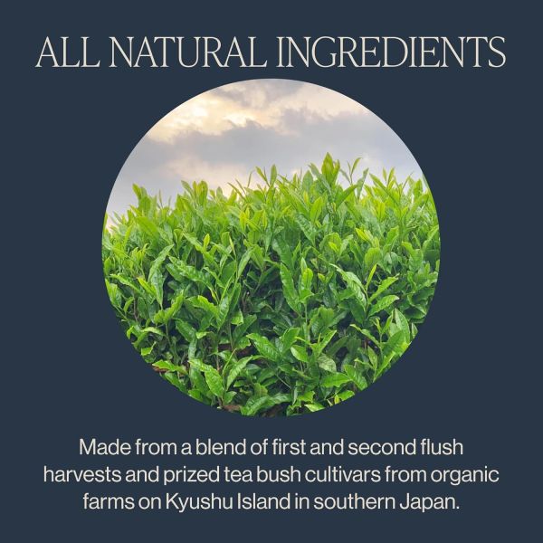 Rishi Tea Organic Sencha Green Tea - 15 Tea Bags