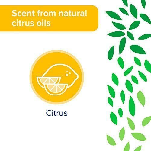 Sun And Earth All Purpose Cleaner - 22 Oz