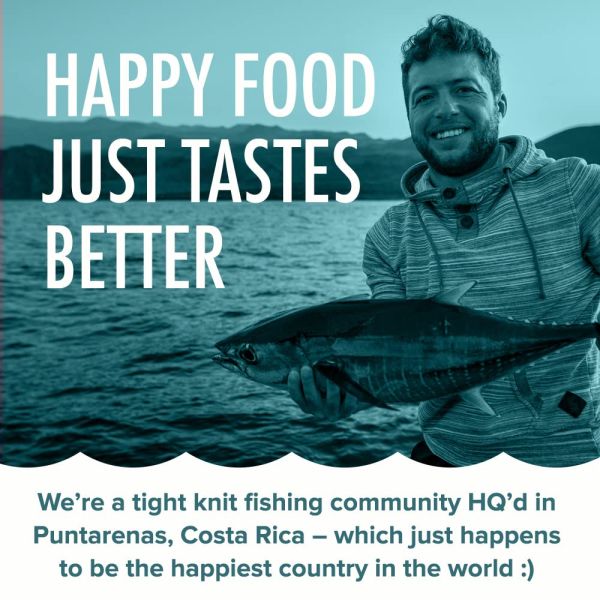 Tonnino Tuna Fillets in Olive Oil - 6.7 oz