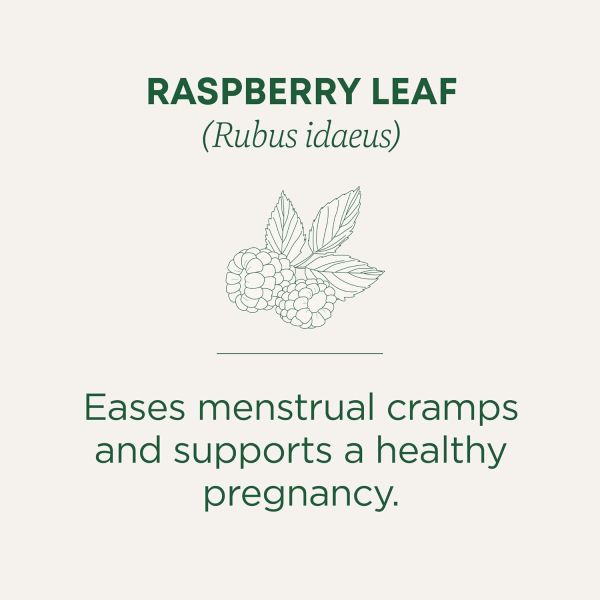 Traditional Medicinals Organic Raspberry Leaf Herbal Tea - 16 Tea Bags
