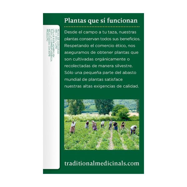 Traditional Medicinals Organic Spearmint Herbal Tea - 16 Tea Bags