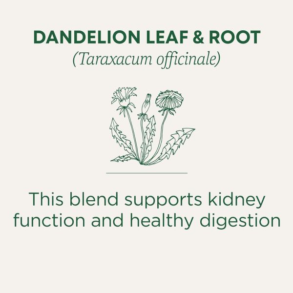 Traditional Medicinals Organic Dandelion Leaf & Root Herbal Tea - 16 Tea Bags