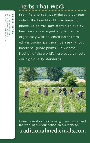 Traditional Medicinals Organic Turmeric & Ginger Herbal Tea - 16 Tea Bags