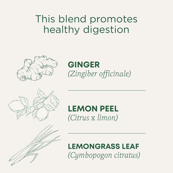 Traditional Medicinals Organic Lemon Ginger Herbal Tea - 16 Tea Bags