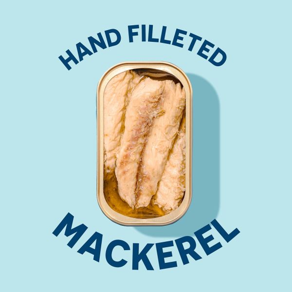 Wild Planet Wild Mackerel Fillet in Extra Virgin Olive Oil - 4.4 oz