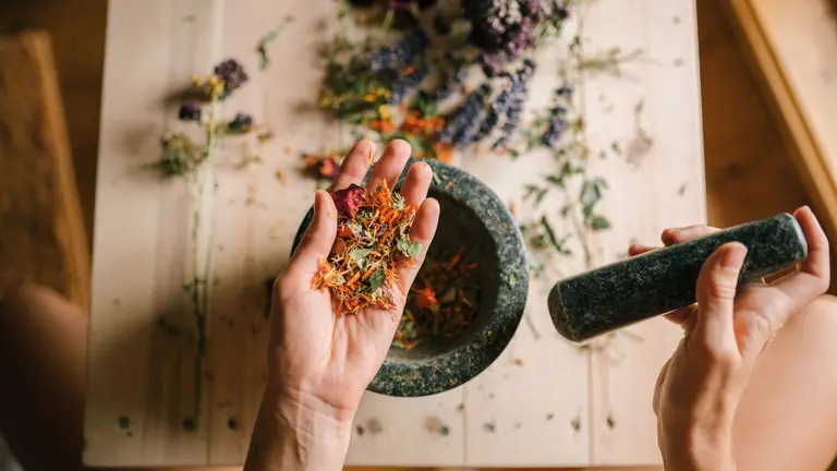 Ashwagandha: Benefits, Dosage, Best Form, and Safety